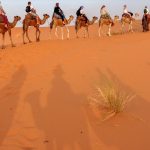 E094EBBB-D99E-4C01-87A3-79540C71664B