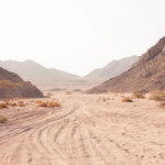 Mi desierto no termina