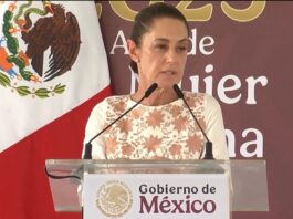 Sheinbaum retoma llamado del Papa Francisco: la guerra es el mayor fracaso de la humanidad