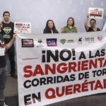 Corridas de toros