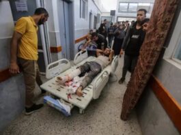 Más de 20 muertos en Gaza por israelíes durante reparto de ayuda humanitaria. Israel no se cansa de matar bajo cualquier pretexto
