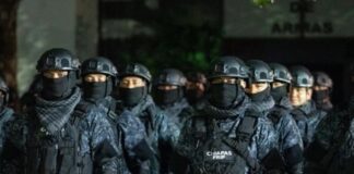 Policías del grupo Pakal cruzaron la frontera: Sheinbaum confirma incursión en Guatemala