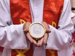 ¿Rostro de Jesús en una hostia en la India? Reconocimiento eclesiástico sin decreto vaticano público
