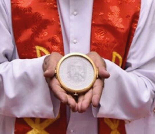 ¿Rostro de Jesús en una hostia en la India? Reconocimiento eclesiástico sin decreto vaticano público