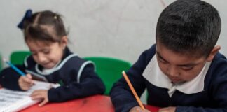 México dividido por la educación: ¿por qué algunos estados avanzan y otros se rezagan?