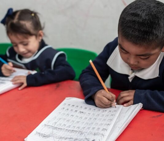México dividido por la educación: ¿por qué algunos estados avanzan y otros se rezagan?
