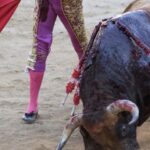 Sufrimiento del animal