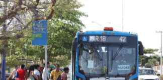 ¿Qué ciudades tienen el mejor (y el peor) transporte urbano en México?