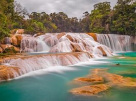 🇲🇽 ¿A dónde van los mexicanos cuando salen de vacaciones?