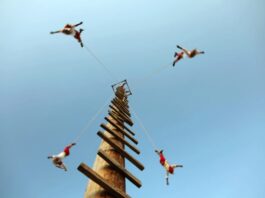 Voladores de Papantla: cuando el vuelo es herencia, rito y resistencia