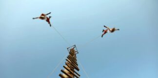 Voladores de Papantla: cuando el vuelo es herencia, rito y resistencia