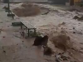 Lluvias intensas inundan Torreón: colonias afectadas, daños y pronóstico para los próximos días