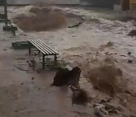 Lluvias intensas inundan Torreón: colonias afectadas, daños y pronóstico para los próximos días