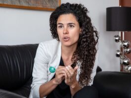 Morena perfila expulsión de Hernán Bermúdez Requena tras escándalo por red de corrupción en Tabasco