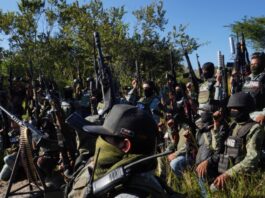 ¿Por qué ha sido tan difícil acabar con la delincuencia organizada?