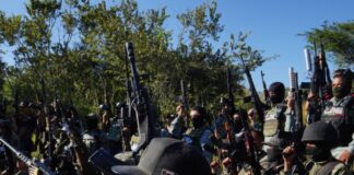 ¿Por qué ha sido tan difícil acabar con la delincuencia organizada?