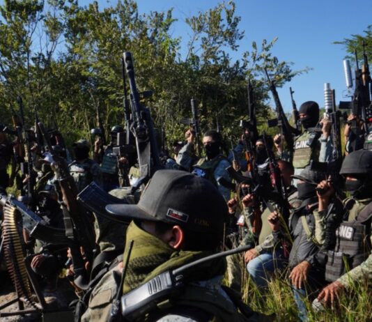 ¿Por qué ha sido tan difícil acabar con la delincuencia organizada?