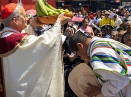 Una Iglesia de pobres: el llamado del Papa León XIV y la brecha con la vida parroquial