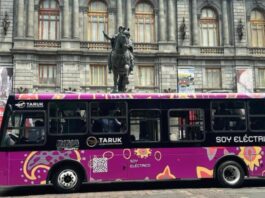 Taruk: el primer autobús eléctrico diseñado y fabricado en México