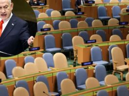 Israel frente a la presión internacional: aislado en la ONU pero sostenido por Estados Unidos