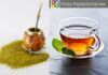 ¿El mate es un té?