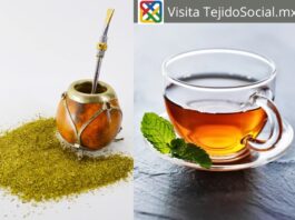 ¿El mate es un té?