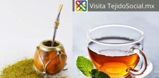 ¿El mate es un té?