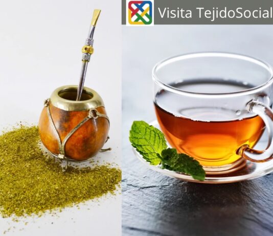 ¿El mate es un té?