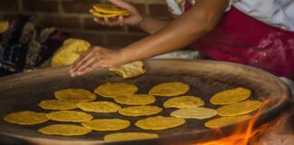 El maíz: rico, saludable y versátil… pero con límites