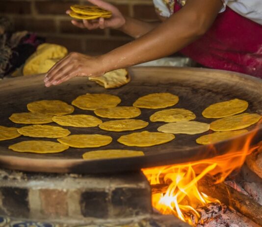 El maíz: rico, saludable y versátil… pero con límites