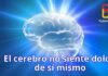 El cerebro que no siente dolor