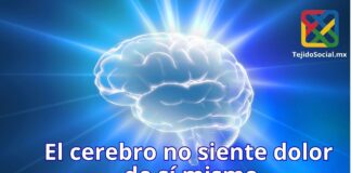 El cerebro que no siente dolor