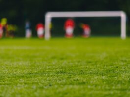 El deporte: una red invisible que sostienen a la sociedad