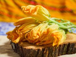 Flor de calabaza: un tesoro mexicano de sabor, tradición y nutrición La flor de calabaza es uno de esos alimentos que parecen sencillos que guardan siglos de tradición culinaria.