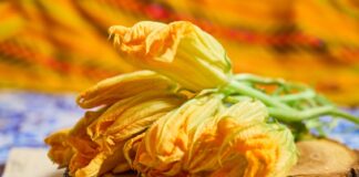 Flor de calabaza: un tesoro mexicano de sabor, tradición y nutrición La flor de calabaza es uno de esos alimentos que parecen sencillos que guardan siglos de tradición culinaria.