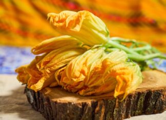 Flor de calabaza: un tesoro mexicano de sabor, tradición y nutrición La flor de calabaza es uno de esos alimentos que parecen sencillos que guardan siglos de tradición culinaria.