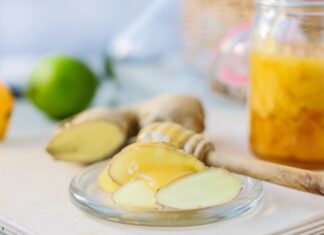 El botiquín de la tierra: remedios naturales que siguen curando a México