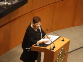 Ernestina Godoy llega a la FGR: una fiscal con trayectoria firme ante el reto de la impunidad Ernestina Godoy fue elegida por mayoría calificada como nueva Fiscal General de la República.