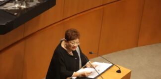 Ernestina Godoy llega a la FGR: una fiscal con trayectoria firme ante el reto de la impunidad Ernestina Godoy fue elegida por mayoría calificada como nueva Fiscal General de la República.