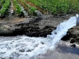Por qué es justa y urgente una Ley de Aguas que ponga fin a la mercantilización del recurso Vista de infraestructura hídrica en México con depósitos de agua y zonas agrícolas, representando la administración estatal del recurso.