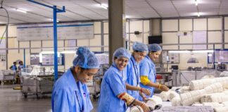 Diputados avalan la jornada de 40 horas; la reforma avanza con consenso histórico Trabajadoras con uniforme industrial azul revisan y doblan piezas textiles en una línea de producción dentro de una planta manufacturera.