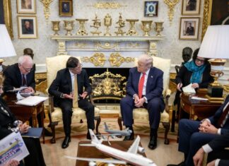 Trump y Petro sellan tregua y exploran cooperación antidrogas en la Casa Blanca: claves de una reunión inesperada Donald Trump y Gustavo Petro sentados frente a frente en la Casa Blanca durante una reunión diplomática, acompañados por asesores de ambos gobiernos.