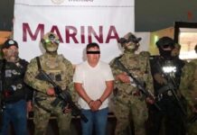 Capturan a “El Jardinero”, operador clave del CJNG en operativo de inteligencia Hombre detenido con los ojos cubiertos, custodiado por elementos armados de la Marina y fuerzas de seguridad en México durante su presentación oficial.