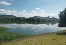 El Bordo Benito Juárez: contaminación, descargas ilegales y un problema ambiental que Querétaro dejó crecer Panorámica del Bordo Benito Juárez en Querétaro, con agua parcialmente cubierta por lirio acuático y vegetación alrededor, bajo un cielo despejado.