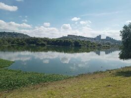 El Bordo Benito Juárez: contaminación, descargas ilegales y un problema ambiental que Querétaro dejó crecer Panorámica del Bordo Benito Juárez en Querétaro, con agua parcialmente cubierta por lirio acuático y vegetación alrededor, bajo un cielo despejado.