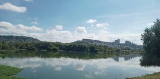 El Bordo Benito Juárez: contaminación, descargas ilegales y un problema ambiental que Querétaro dejó crecer Panorámica del Bordo Benito Juárez en Querétaro, con agua parcialmente cubierta por lirio acuático y vegetación alrededor, bajo un cielo despejado.