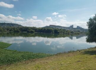 El Bordo Benito Juárez: contaminación, descargas ilegales y un problema ambiental que Querétaro dejó crecer Panorámica del Bordo Benito Juárez en Querétaro, con agua parcialmente cubierta por lirio acuático y vegetación alrededor, bajo un cielo despejado.