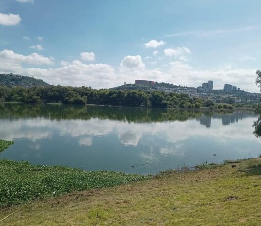 El Bordo Benito Juárez: contaminación, descargas ilegales y un problema ambiental que Querétaro dejó crecer Panorámica del Bordo Benito Juárez en Querétaro, con agua parcialmente cubierta por lirio acuático y vegetación alrededor, bajo un cielo despejado.