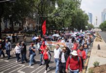 CNTE confirma paro nacional indefinido y anuncia mega marcha hacia el Zócalo de la CDMX Contingente de maestros de la CNTE marcha sobre Paseo de la Reforma en la Ciudad de México con pancartas, banderas y sombrillas durante una protesta magisterial.