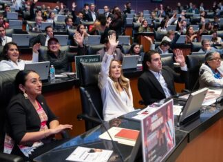 Senado aprueba reforma para anular elecciones por intervención extranjera Legisladores levantan la mano durante una sesión del Senado de la República en la que se vota una reforma constitucional relacionada con la nulidad de elecciones por intervención extranjera.